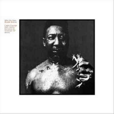 Muddy Waters - After The Rain (CD)