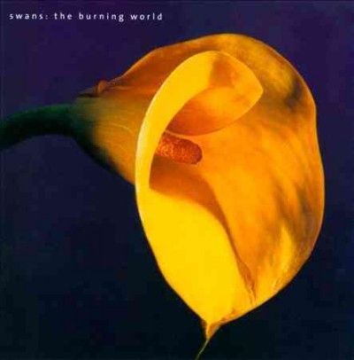 Swans - Burning World (CD)