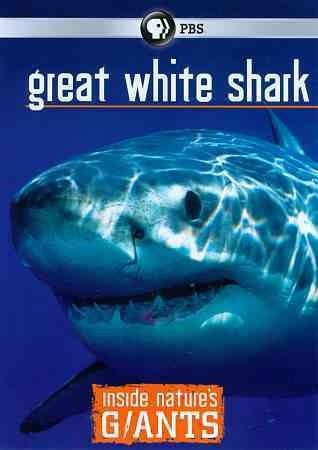 Inside Nature's Giants: Great White Sh (DVD)