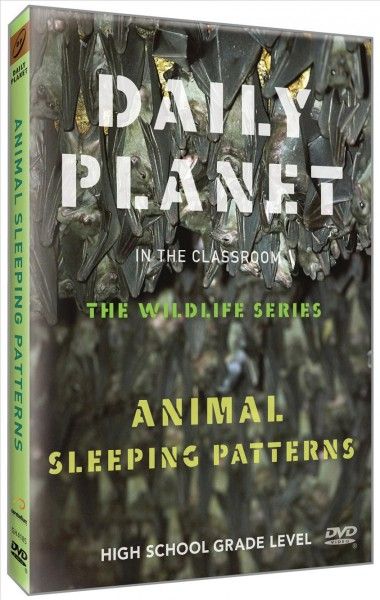 Animal Sleeping Patterns - (Region 1 Import DVD)