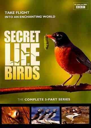 Secret Life of Birds:5 Part Series - (Region 1 Import DVD)
