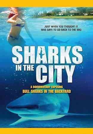 Sharks in The City - (Region 1 Import DVD)