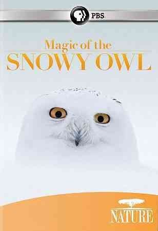 Nature: Magic Of The Snowy Owl (DVD)