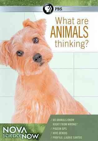 Nova Sciencenow:What Are Animals Thin - (Region 1 Import DVD)