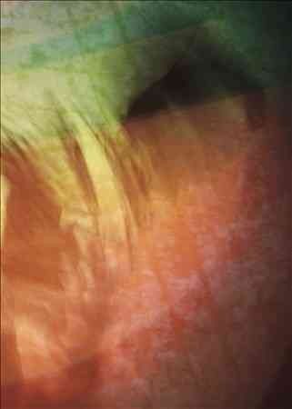 Go Quiet (Limited Edition) - (Region 1 Import DVD)