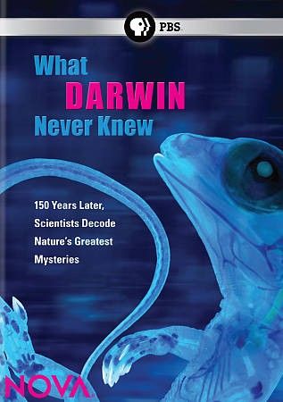 What Darwin Neve R Knew - (Region 1 Import DVD)