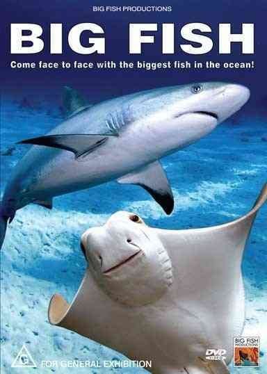 Big Fish - (Region 1 Import DVD)