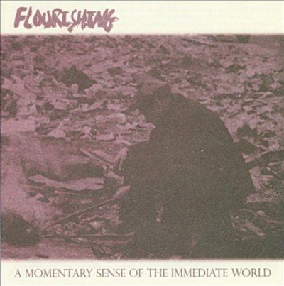 Flourishing - Momentary Sense Of The Immediate Worl (CD)