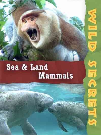 Wild Secrets:Sea and Land Mammals - (Region 1 Import DVD)