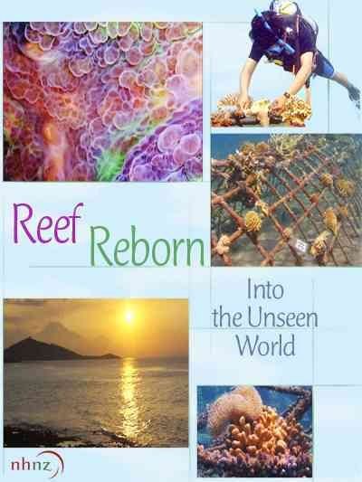 Reef Reborn:into the Unseen World - (Region 1 Import DVD)