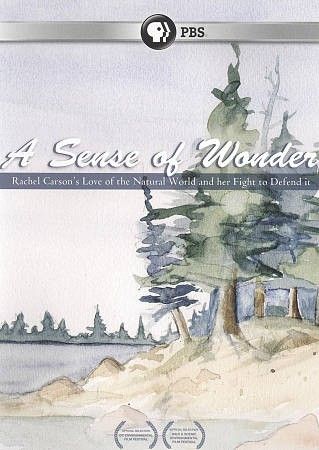 Sense Of Wonder (DVD)