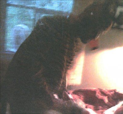 Whitsundays - Saul (CD)