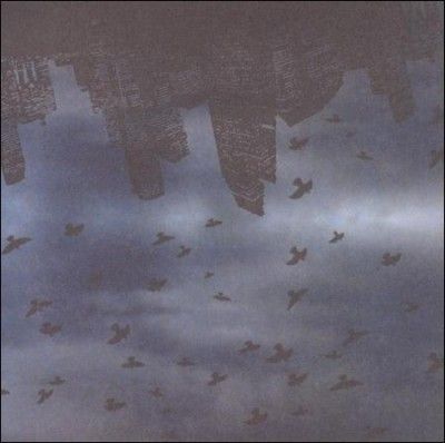 Dispensing Of False - Growing Up (CD)