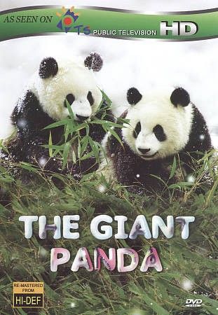 Giant Panda - (Region 1 Import DVD)