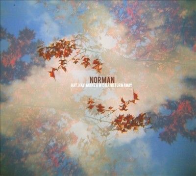 Norman - Hay Hay Make A Wish And Turn Away (CD)