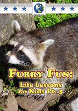 Furry Fun - Life Lessons for Kids: Part 3(DVD)