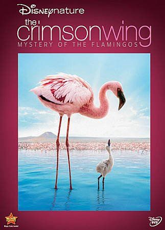 Disneynature:Crimson Wing the Mystery - (Region 1 Import DVD)