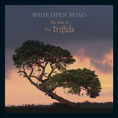 Triffids - Wide Open Road (CD)