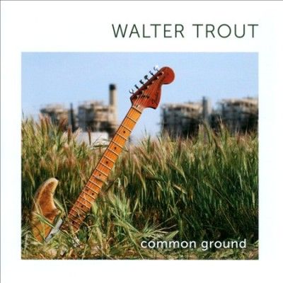 Walter Trout - Common Ground (CD)