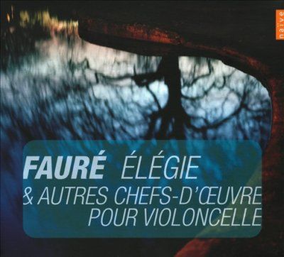 Orchestre National D - Elegie &amp; Other Masterpieces For Cello (CD)