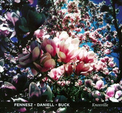 Christian Fennesz - Knoxville (CD)