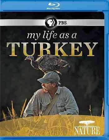 Nature:My Life As a Turkey - (Region A Import Blu-ray Disc)