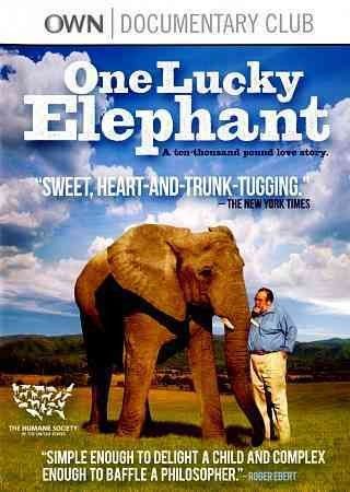One Lucky Elephant - (Region 1 Import DVD)