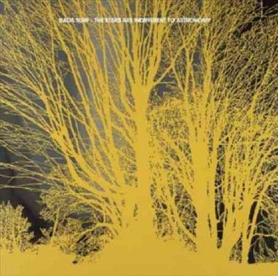Nada Surf - Stars Are Indifferent To Astronomy (CD)