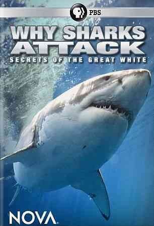 Nova:Why Sharks Attack - (Region 1 Import DVD)