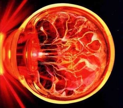 Vhs Head - Persistence Of Vision (CD)