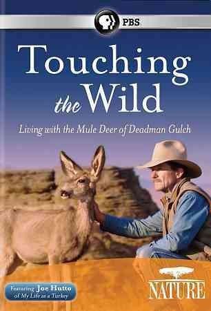 Nature:Touching The Wild Living - (Region 1 Import DVD)