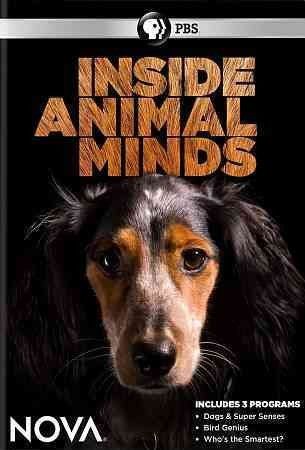 Nova:Inside Animal Minds - (Region 1 Import DVD)