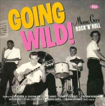 Various - Going Wild Music City Rock N Roll (CD)