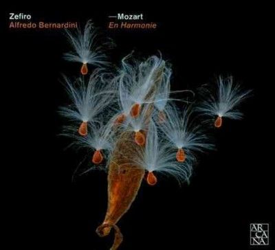 Mozart: En Harmonie (CD / Album)