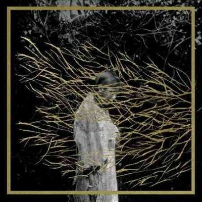 Forest Swords - Engravings (CD)