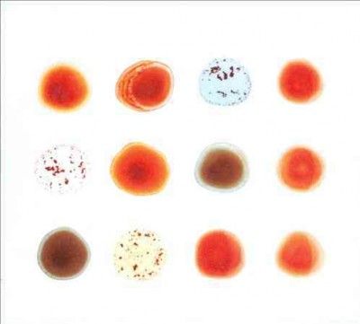 Peter Gabriel - Scratch My Back &amp; I'll Scratch Yours (CD)