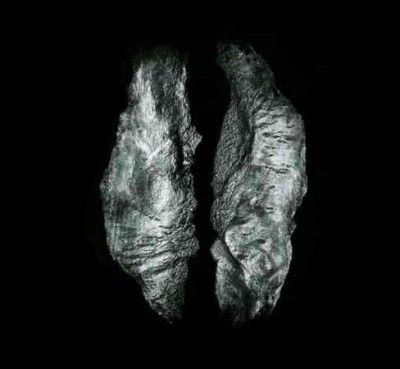 Cause and Effect - (Import CD)