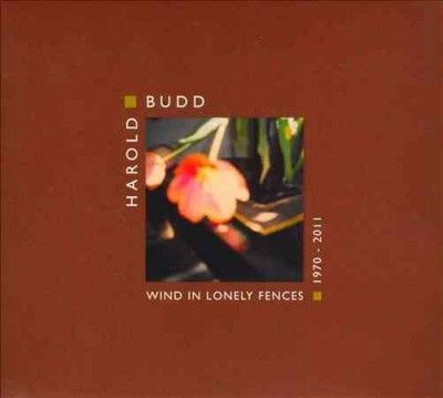 Wind in Lonely Fences - (Import CD)