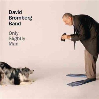 David Bromberg - Only Slightly Mad (CD)