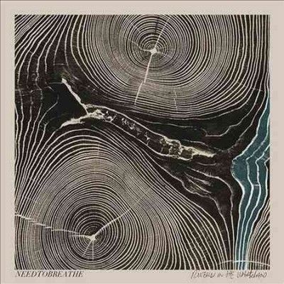 Needtobreathe - Rivers In The Wasteland (CD)