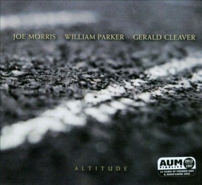 Joe Morris - Altitude (CD)