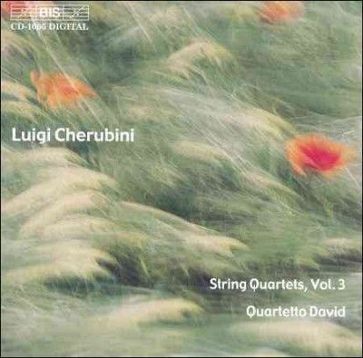 String Quartets - Vol 3/quartetto David (CD / Album)