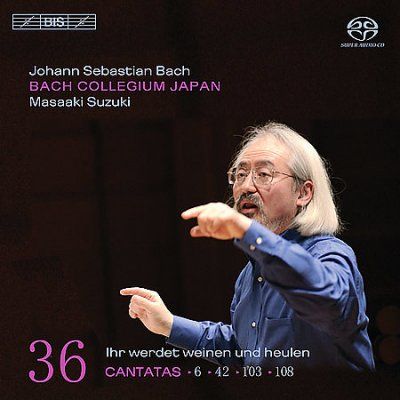 Cantatas Vol. 36 (Suzuki) [sacd/cd Hybrid] (CD / Album)