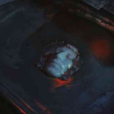Paul Corley - Disquiet (CD)