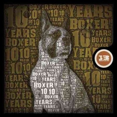 Various - 10 Years Of Boxer (CD)