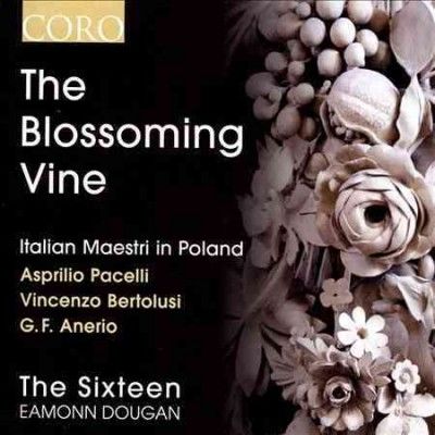 Sixteen - Blossoming Vine: Italian Maestri In Po (CD)