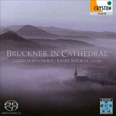 Bruckner in Cathedral - (Import CD)