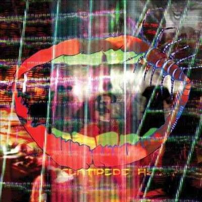 Animal Collective - Centipede Hz (CD)