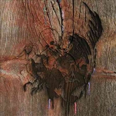 Avey Tare's Slasher - Enter The Slasher House (CD)