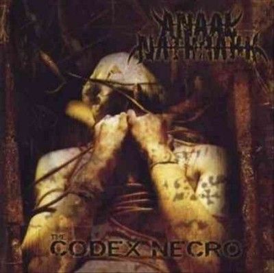 Codex Necro/when Fire Rains Down from - (Import CD)
